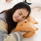 Bear Plush Hand Warmer Pillow – Cute Cartoon Nap Cushion with Cozy Hand Warmer Gloves
